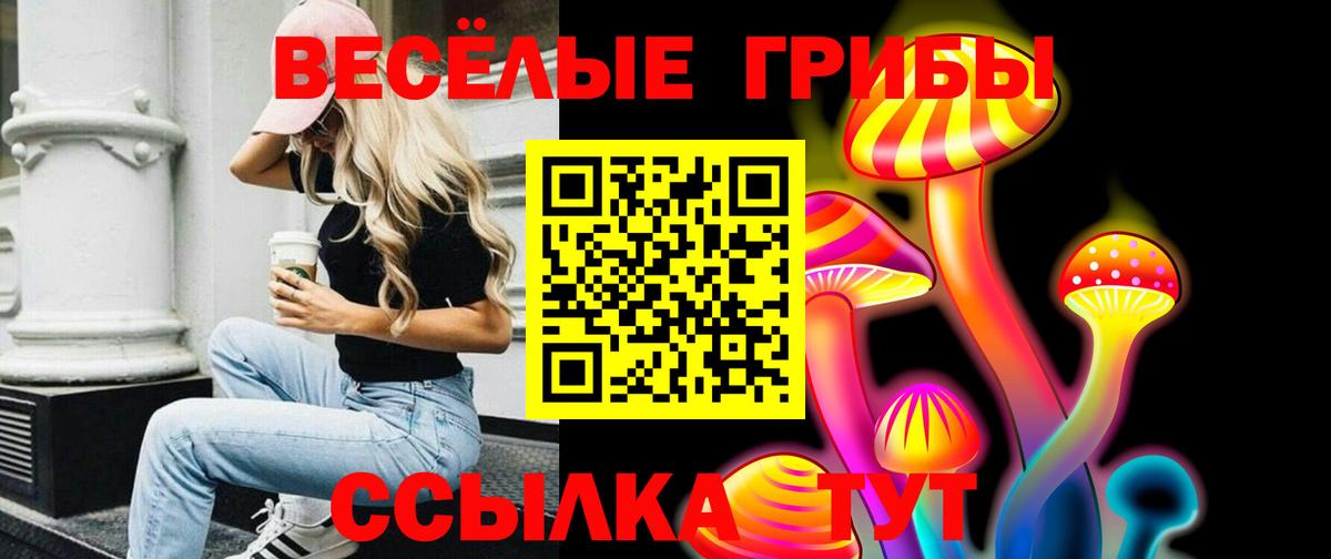 Псилоцибиновые грибы Magic Shrooms Новотроицк